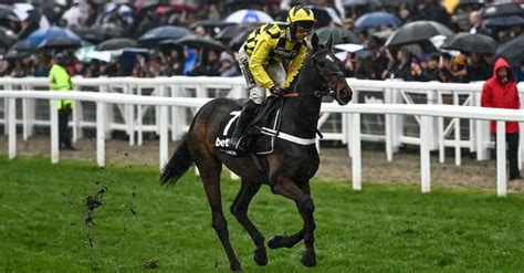 Cheltenham Results: All The Winners From Day 3 Of The .